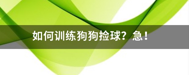 如何选择适合篮球康复训练的器材_1